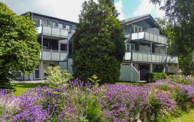 Austernfischer - Photo 1