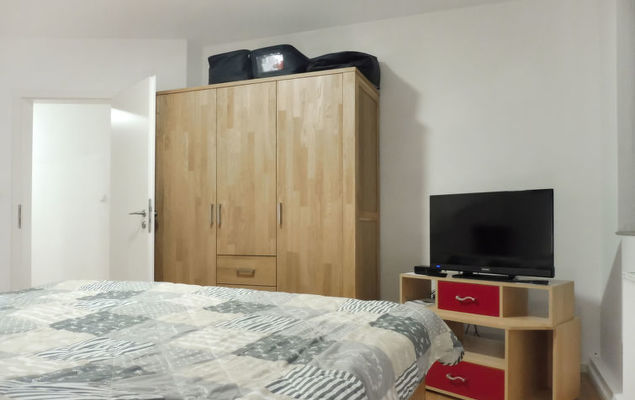 Austernfischer - Photo 3