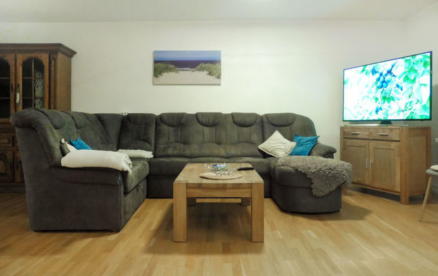 Austernfischer - Photo 5