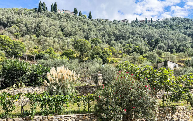 Casa Marte - Photo 23