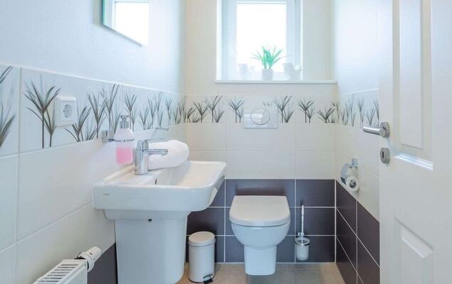 Felsenauster - Photo 13