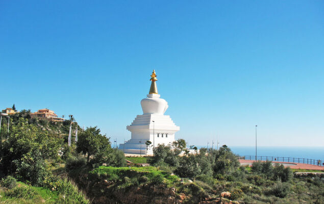 Los Nadales - Photo 51