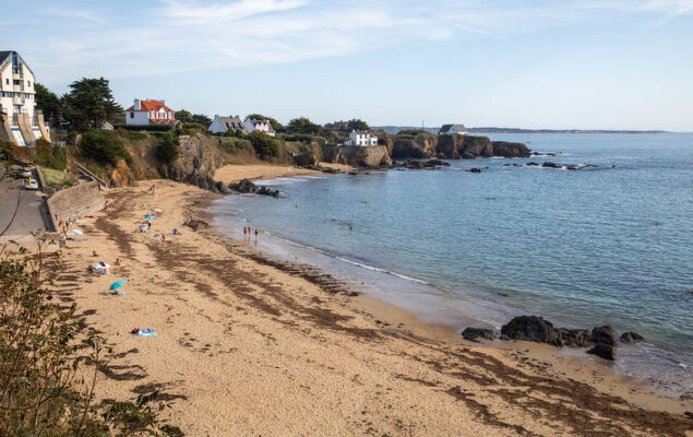 Hortensias 2 - Photo 20