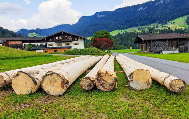 Weissbachergut - Photo 10