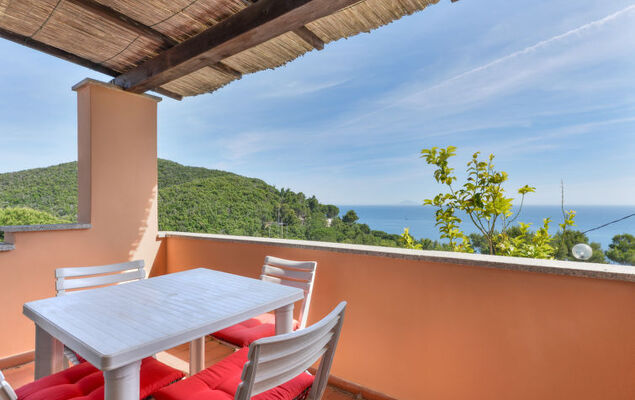 Sunny House - Photo 2