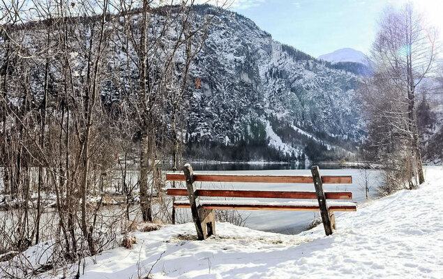 Hasenstall / Top 8 - Photo 7