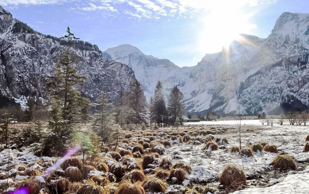 Hasenstall / Top 8 - Photo 10