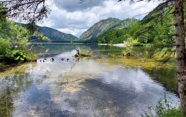 Hasenstall / Top 8 - Photo 32