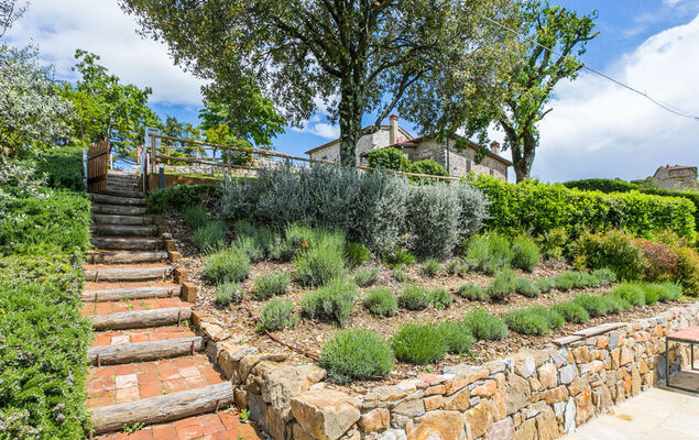 Lunaria + Solaria + Nuvola - Photo 63