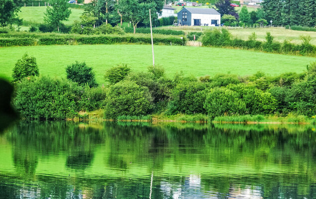 Au bord du Lac 2 - Photo 14